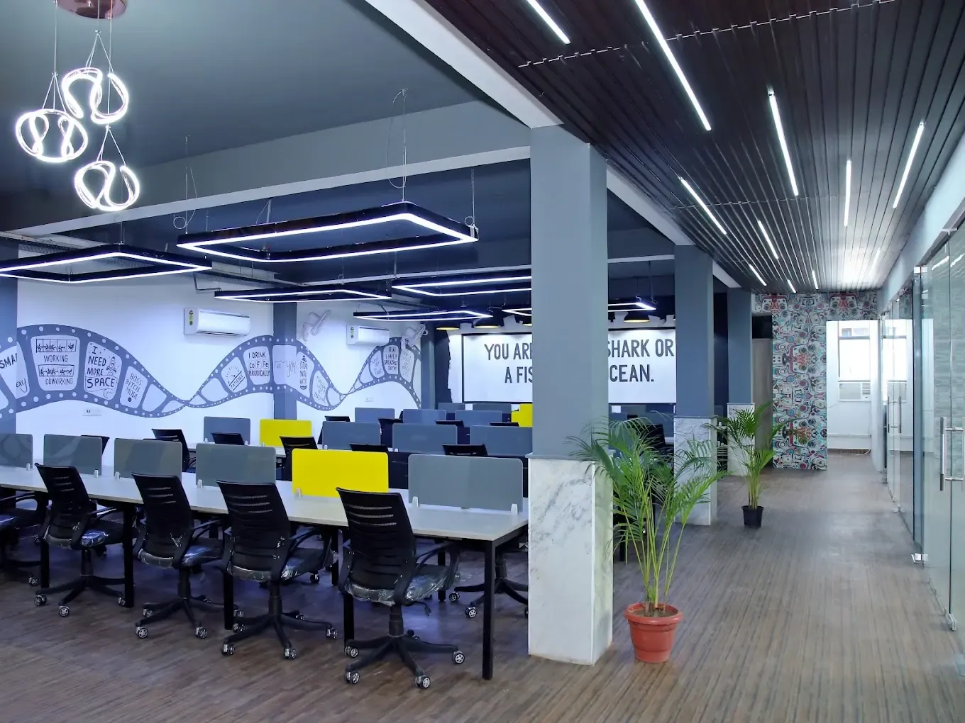 Sharkspace Coworking