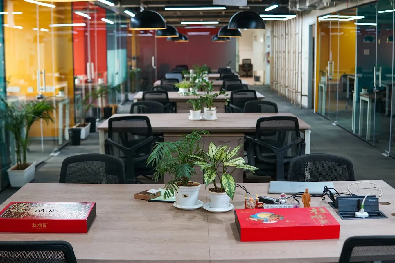 Lumos Cowork