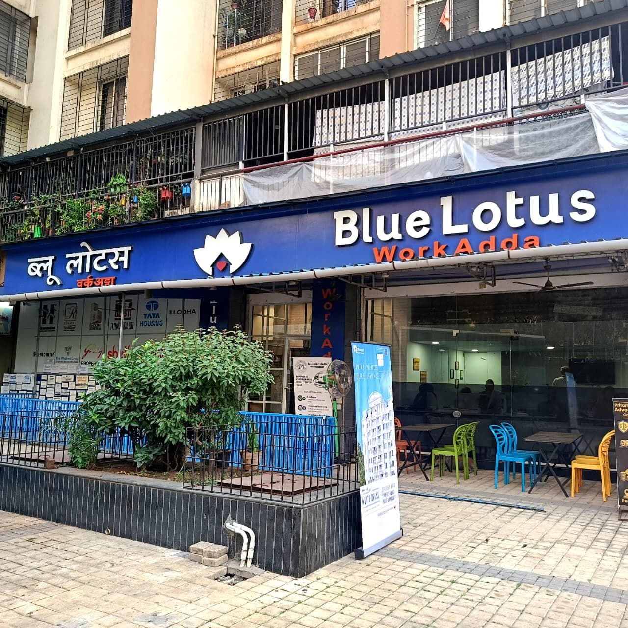 Blue Lotus Workadda