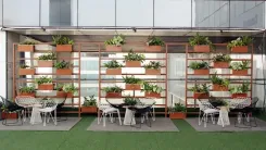 Wegrow_Rooftops_(2)_(1).webp