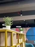 awfis-vajram-esteva-cohub-india